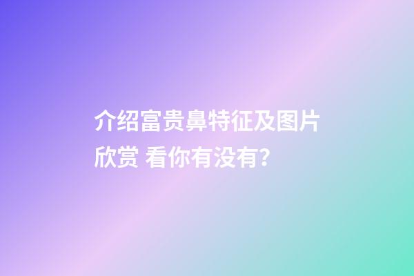 介绍富贵鼻特征及图片欣赏 看你有没有？